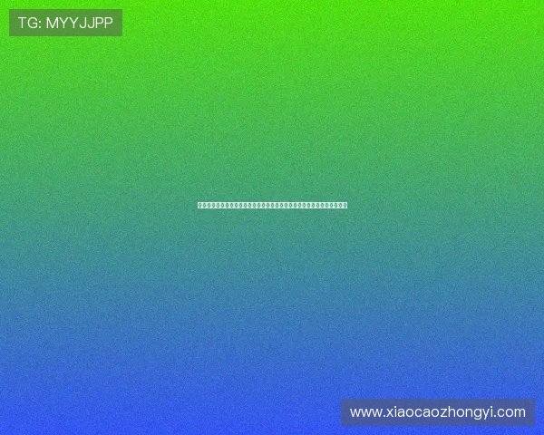 足球德甲是什么意思德甲联赛起源规则与影响全解析历史文化球队竞争格局